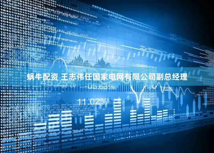 蜗牛配资 王志伟任国家电网有限公司副总经理