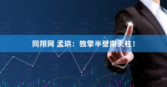 同翔网 孟珙：独擎半壁南天柱！