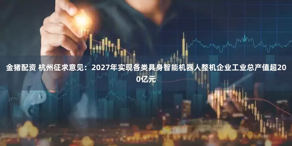 金猪配资 杭州征求意见：2027年实现各类具身智能机器人整机企业工业总产值超200亿元
