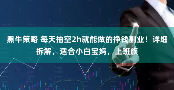 黑牛策略 每天抽空2h就能做的挣钱副业！详细拆解，适合小白宝妈，上班族